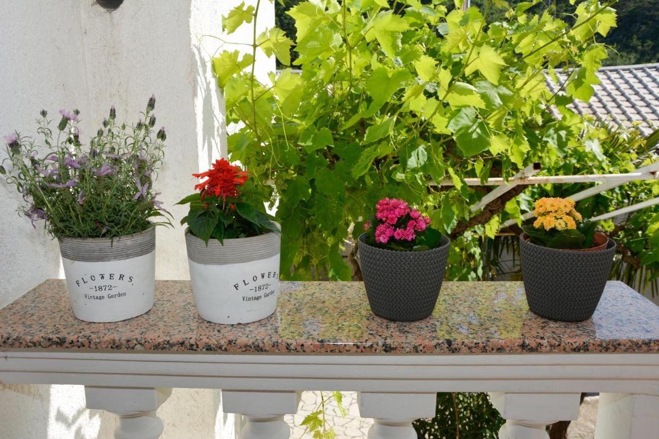 Apartment Ivana Senj  Zewnętrze zdjęcie