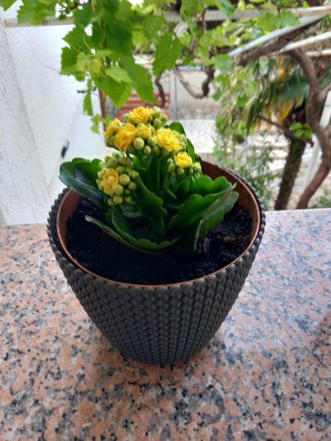 Apartment Ivana Senj  Zewnętrze zdjęcie