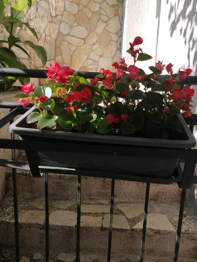 Apartment Ivana Senj  Zewnętrze zdjęcie