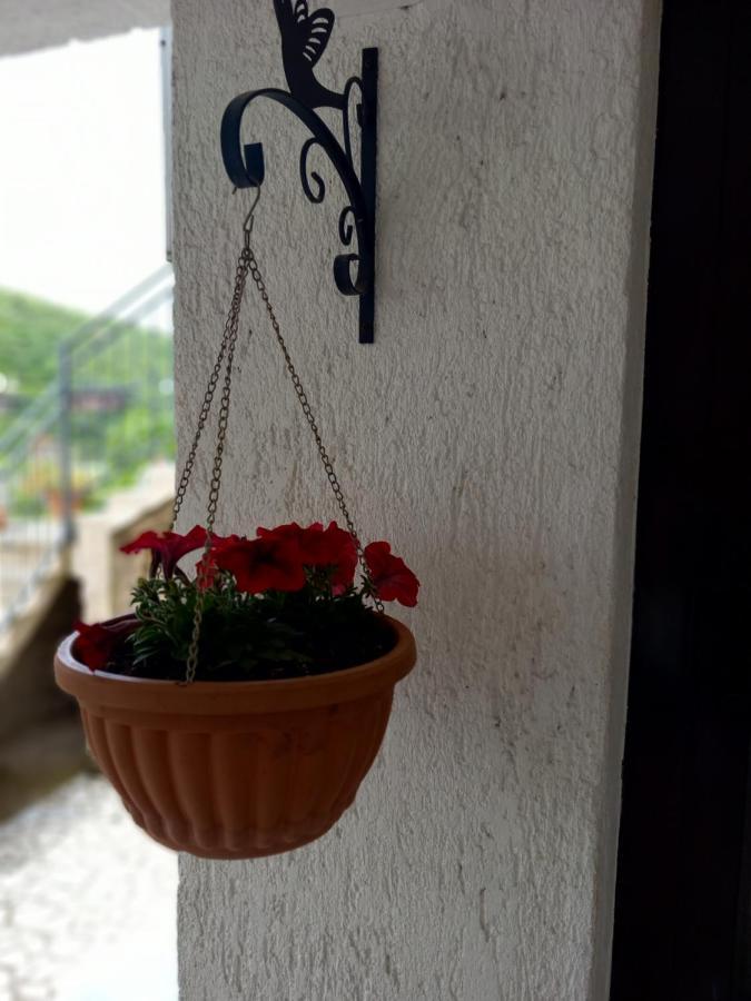 Apartment Ivana Senj  Zewnętrze zdjęcie